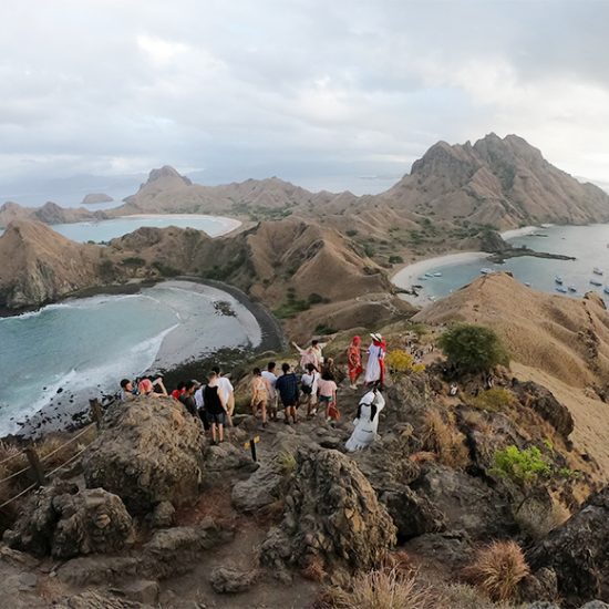 Komodo Whale Sharks Liveaboard From Lombok 4 Days 3 Nights