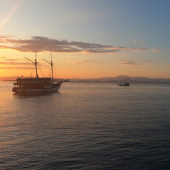 Komodo Whale Sharks Liveaboard From Lombok 4 Days 3 Nights