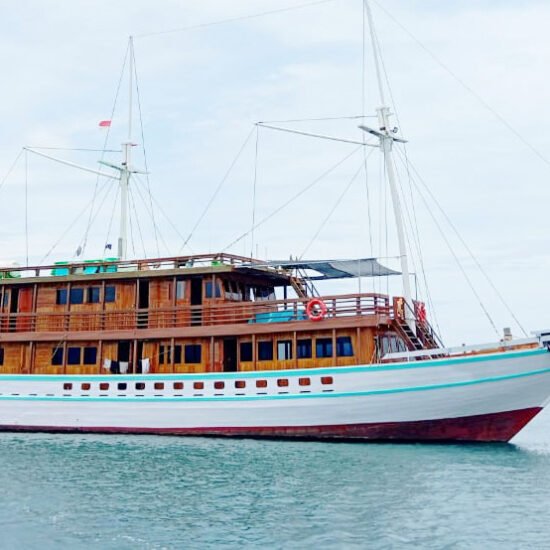 Komodo Whale Sharks Tour Package From Lombok 4 Days 3 Nights