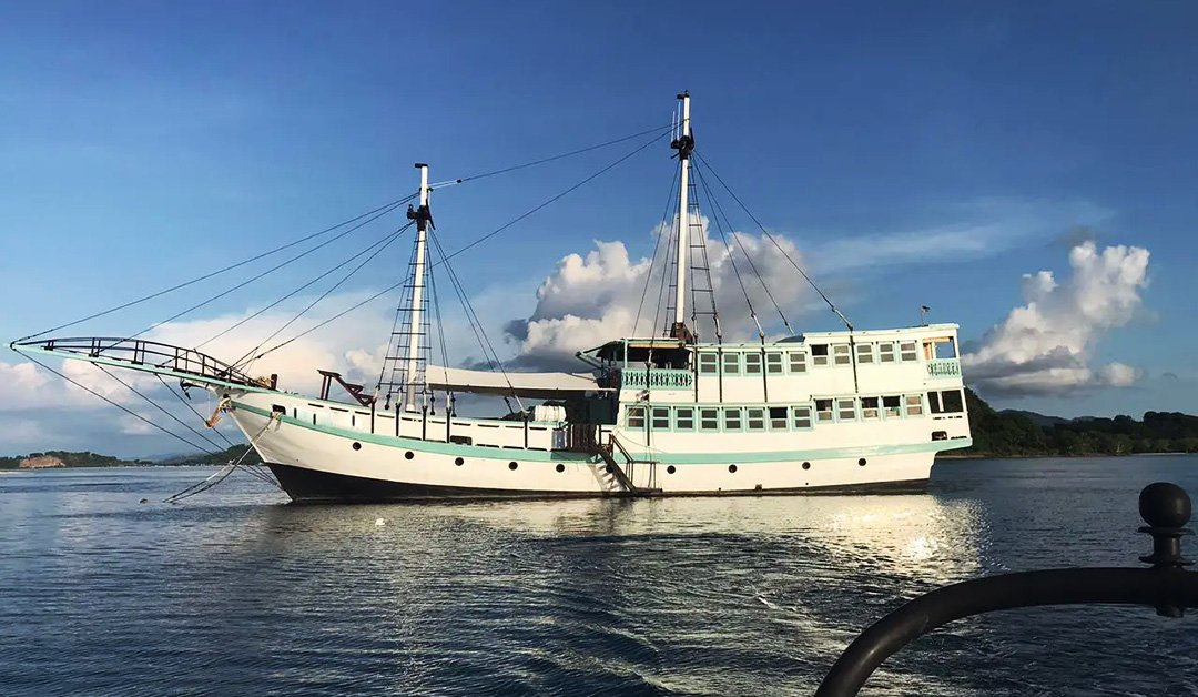 Komodo Whale Shark Tour Package 4 Days 3 Nights from Lombok via Sumbawa