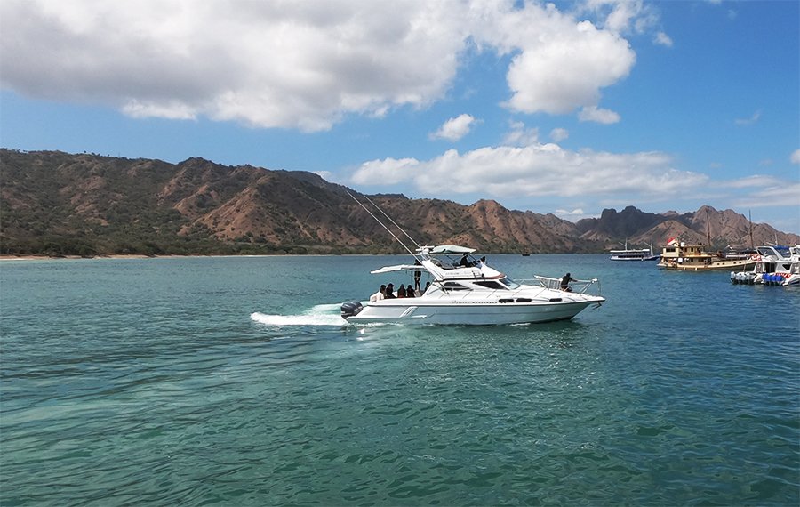 One Day Trip to Komodo Island From Bali