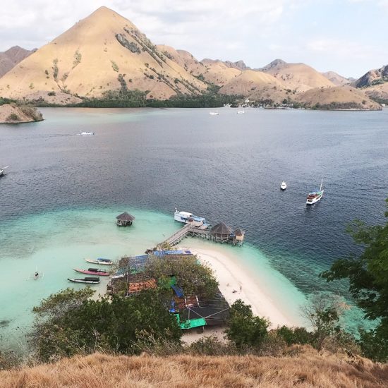 Komodo Whale Sharks Liveaboard From Lombok 4 Days 3 Nights