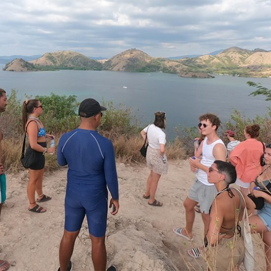 One Day Trip to Komodo Island From Bali
