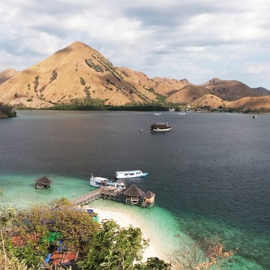 One Day Trip to Komodo Island From Bali