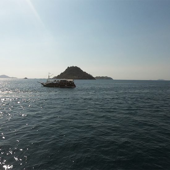 Komodo Island Tour From Bali 3 Days 2 Nights