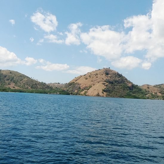 One Day Trip to Komodo Island From Bali