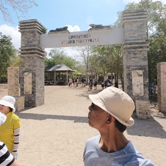 Komodo Island Tour From Bali 3 Days 2 Nights