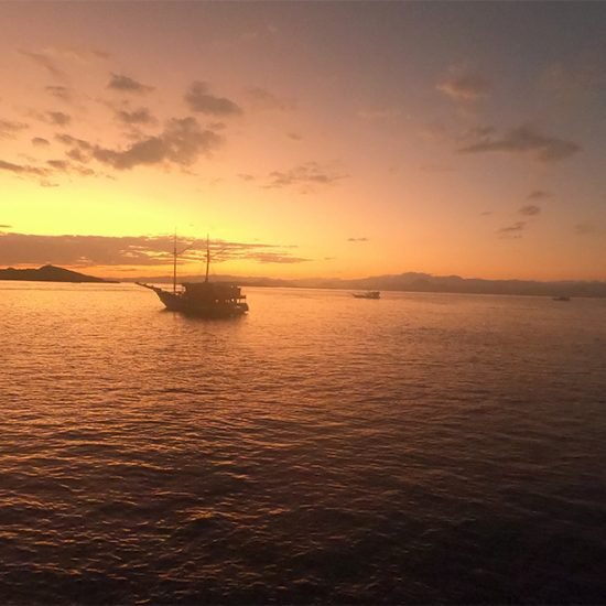 Komodo Island Tour From Bali 3 Days 2 Nights