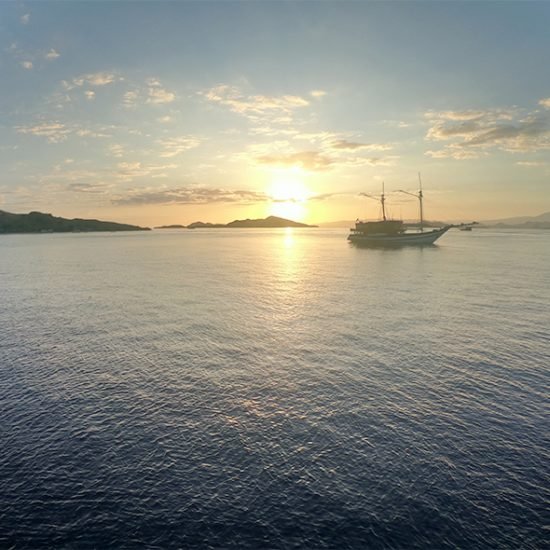 Komodo Island Tour From Bali 3 Days 2 Nights
