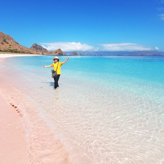 One Day Trip to Komodo Island From Bali