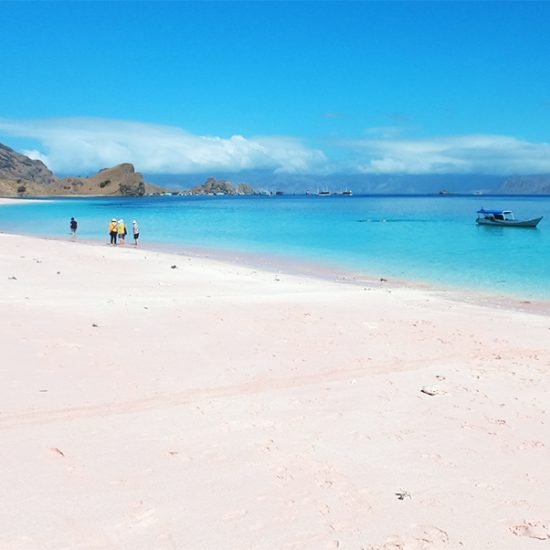 One Day Trip to Komodo Island From Bali