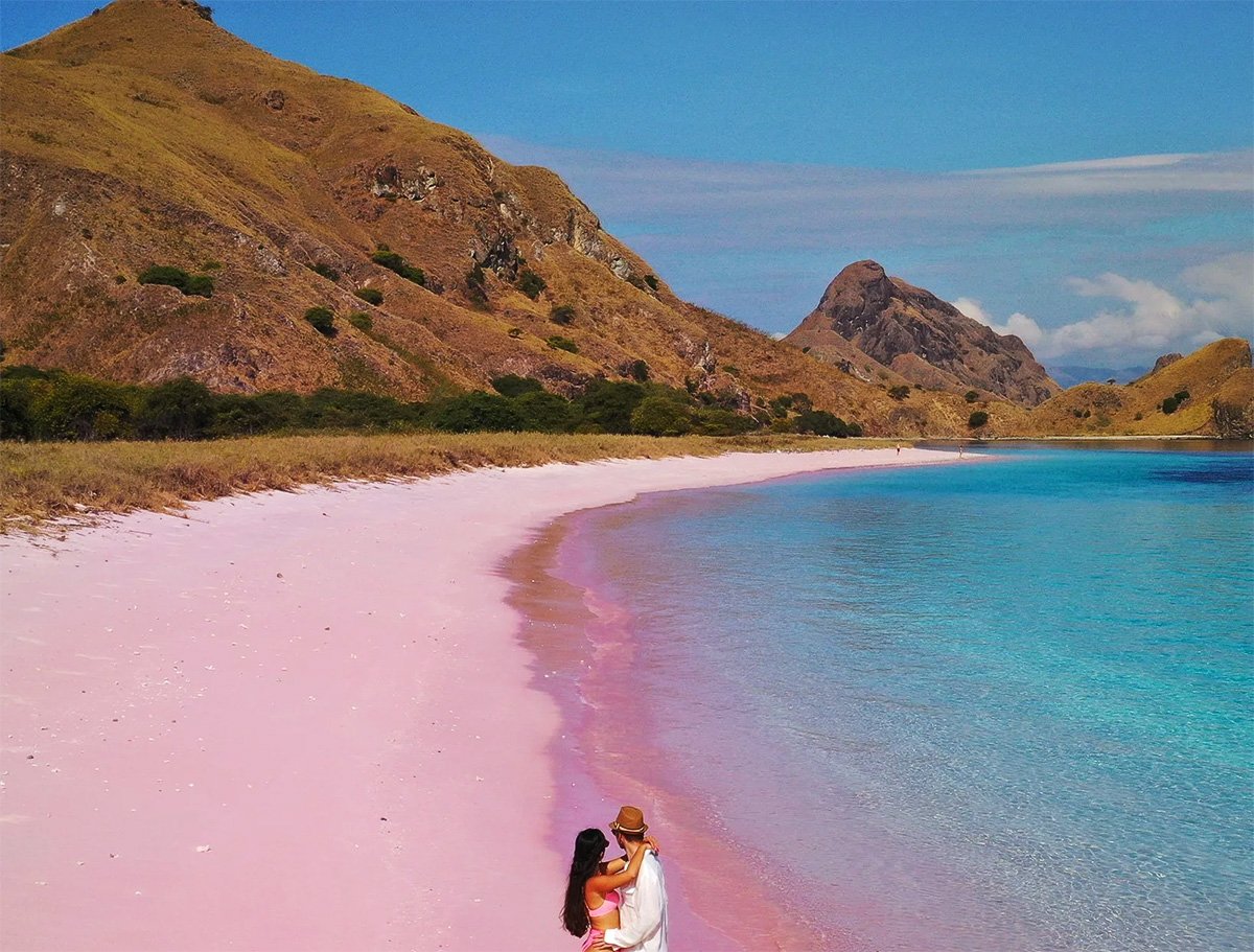 1 Day Komodo Private tour Start From Labuan Bajo