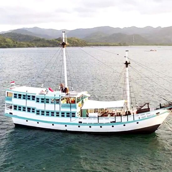 Nusa Penida Manta Whale Sharks & Komodo Tour 8D7N