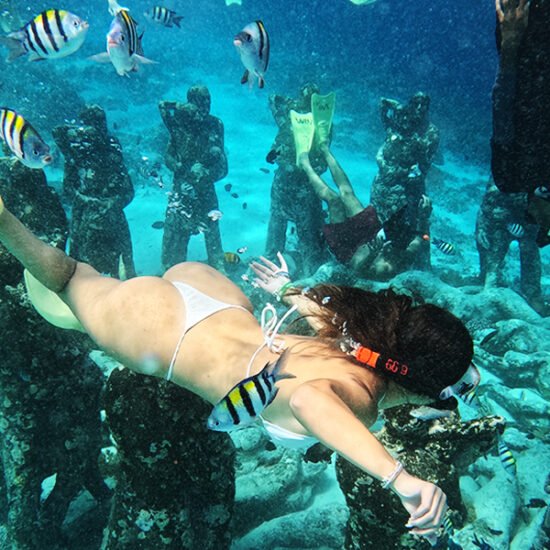 Nusa Penida Manta Whale Sharks & Komodo Tour 8D7N