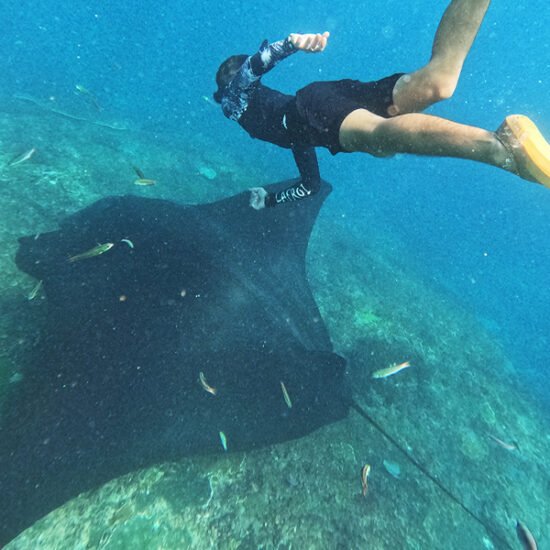 Nusa Penida Manta Whale Sharks & Komodo Tour 8D7N
