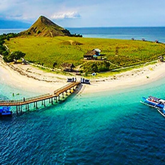 Komodo Whale Sharks Liveaboard and Sumatra Orangutan Tour 9D8N