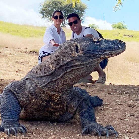 Nusa Penida Manta Whale Sharks & Komodo Tour 8D7N